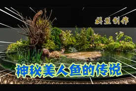 模型：神秘美人鱼惊现，为何她永远地不说话了？