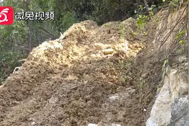可恶！施工队擅自开路，国有林地被破坏！视频封面