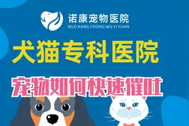 宠物医生教你在家如何给宠物紧急的催吐，催吐后还要注意这些。