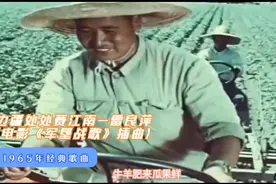 1965年经典歌曲-边疆处处赛江南-雷良萍-(电影《军垦战歌》插曲)视频封面