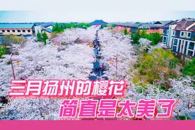 为什么要烟花三月下扬州，来鉴真路看看就知道了视频封面