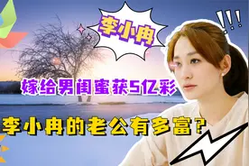豪掷5亿做彩礼，只为将李小冉娶回家，徐佳宁究竟什么来头？视频封面