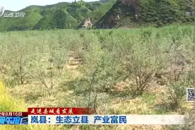 岚县：生态立县，产业富民视频封面