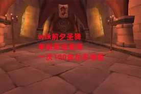 魔兽世界怀旧服：wlk前夕圣骑单刷斯坦索姆，一次100金左右地板视频封面