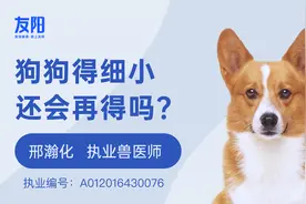 狗狗得细小还会再得吗？视频封面