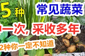 15种常见的多年生的蔬菜, 原来这些都是多年生！