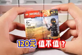 120元，只有1个人仔，这盒乐高幻影忍者值不值呢？视频封面