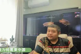 天天硬事2876 拉美33国推进一体化进程，人民币大宗商品或将加速视频封面