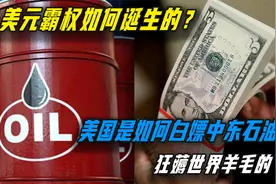 美元霸权如何狂薅世界羊毛？白嫖中东石油，中国也曾深陷其中！视频封面