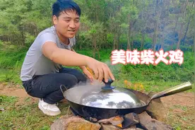小长假野炊，树林里做的柴火鸡太美味了视频封面
