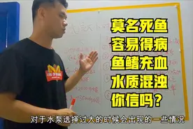养鱼懒人追求吸鱼便效果，加大水泵流量反给鱼造成的5个不利因素视频封面