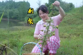 带弟弟摘点乡村小榴莲，回家给爸爸做个刺梨冻吃，酸甜可口真美味视频封面