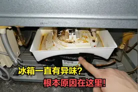 冰箱一直有异味？根本原因在这里，简单清洗一下就能彻底去除视频封面