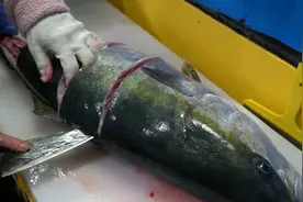 大妈现场处理大鱼，手法干脆利落，不比专业大厨差！