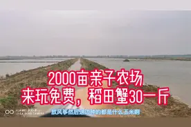 天津市区开车50分钟到宁河2000亩亲自农场免费玩，钓螃蟹30一斤！视频封面