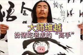 大师维越，扮猪吃老虎的高手视频封面