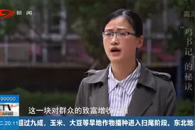 “贫困村”变“示范村”，离不开这“鸡书记”，他带乡亲增收致富视频封面