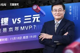 【直播录屏】铁锂VS三元，谁是本年MVP？视频封面