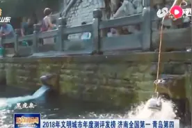 中央文明办：2018年文明城市年度测评结果发布，济南第一青岛第四视频封面