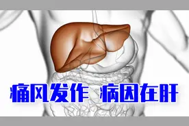 啤酒加烤肉痛风发作，破译病根，原来药只对症，病因在肝视频封面