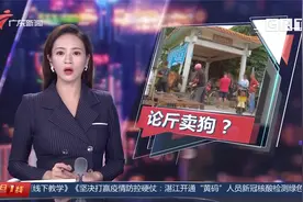 广州番禺：水库旁现无证活狗交易 称斤卖一斤20块？狗从哪来？视频封面