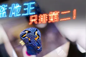 售价8.8万蓝龙王只排第二！北京Z·HiFi展会顶级型号耳机试听回顾视频封面
