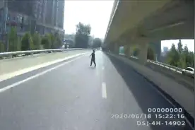 河南5岁男孩高架疯跑，提回家哭嚎反抗，家长曝背后原因令人深思视频封面