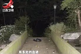 公园森林跑出神秘女孩，老人看到女孩被吓一跳，女孩全身多处血迹视频封面