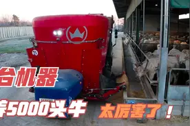 意大利农场23个人，就能饲养5000只家畜，种植650公顷土地视频封面