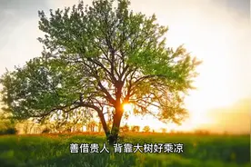 善借贵人，背靠大树好乘凉视频封面