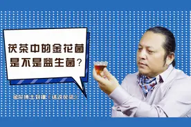 金花菌是不是益生菌？