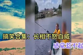 搞笑合集：长相不怒自威，感觉惹不起啊视频封面