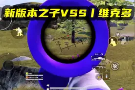 【萌少】带你见识一下新版本的VSS和维克多有多强！视频封面