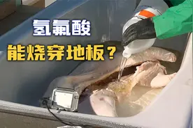 【流言终结者】《绝命毒师》中氢氟酸烧穿了地板，可这是真的吗？视频封面