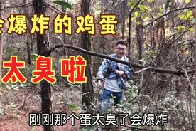 树林里母鸡随处下蛋，阿桂居然捡到一个这种蛋，恶心的吐了半小时视频封面