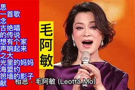 毛阿敏经典歌曲12首联唱视频封面
