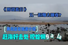 在青岛五一假期去哪耍？树哥图说|即墨蓝谷一站一美景还能去赶海视频封面