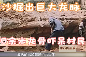 挖沙挖出巨大“龙脉”，300米龙骨吓呆村民，为何专家看了都震惊视频封面