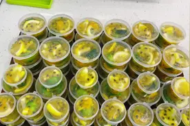 夏天孩子爱喝果茶，5种材料做一盆，放冰箱冻着想喝随时来两盒视频封面