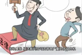 徇私舞弊、枉法裁判的十二种情形视频封面