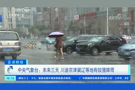 中央气象台：未来三天 川渝京津冀辽等地有较强降雨视频封面