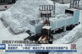 稳健医疗：“小棉花”做成大产业 高质量供给健康产品视频封面