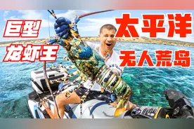 国外赶海天花板存在，小伙来太平洋荒岛，抓超大巨型龙虾王太过瘾视频封面