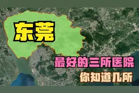 东莞三强医院：第三人民医院落榜，中医院第3，人民医院第1视频封面
