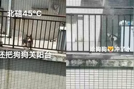 45度高温主人将狗扔阳台，狗子热得直喘气，对楼女子冲水给狗降温