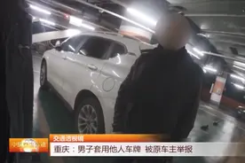 男子套用他人车牌，结果被原车主发现举报，现民警已依法做出处罚视频封面
