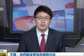 精选丨王路：中药普涨后面临分化视频封面