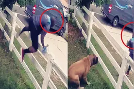身手不错！实拍：快递员送货遭猛犬狂追 神反应冲刺跨栏成功自救视频封面