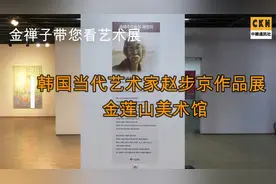 金禅子带您看艺术展：韩国当代艺术家赵步京作品展，金莲山美术馆视频封面