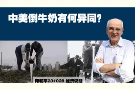 阳和平23#028 中美倒牛奶有何异同？视频封面